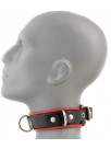 Latex Collar with pipings