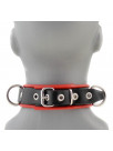 Latex Collar with pipings