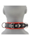 Halsband Latex paspeliert