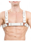 Harness HORIZONTAL