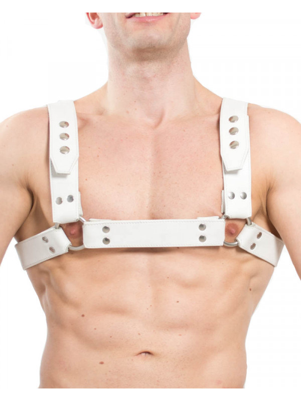 Harness HORIZONTAL