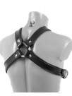 5-String Harness with Pipings