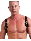 Harness HECTOR soft