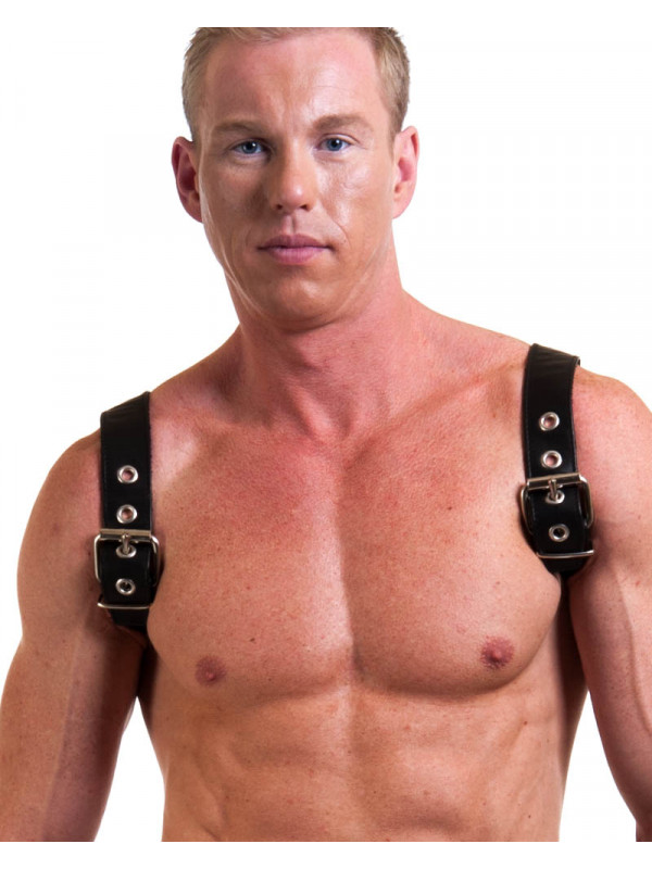 Harness HECTOR soft