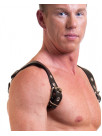 Harness HECTOR soft