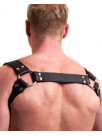 Harness HECTOR soft