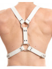 Harness YPSILON