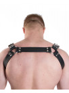 Harness GILLES