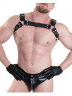 Harness GILLES