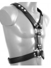 Harness YPSILON with piping
