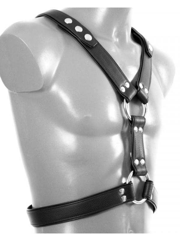 Harness YPSILON with piping