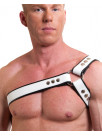 Harness PHILLIPP soft