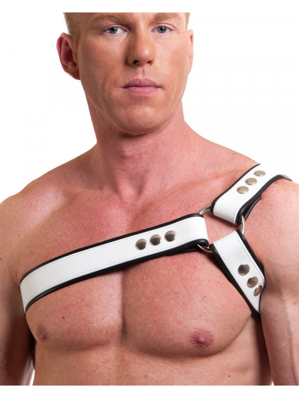 Harness PHILLIPP soft
