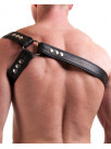 Harness PHILLIPP soft
