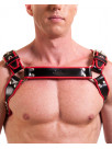 Harness GILLES Croupon with coloured piping