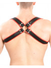 Harness X-Back sewn with pipings