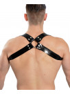 Harness X-Back Latex