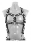 Harness BUTCH 3cm breit mit Paspel