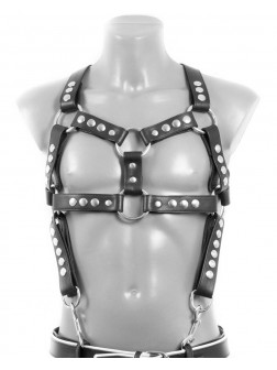 Harness BUTCH 3cm wide with piping