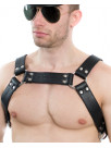 Harness WESLEY