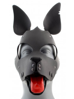Mask DOG Croupon