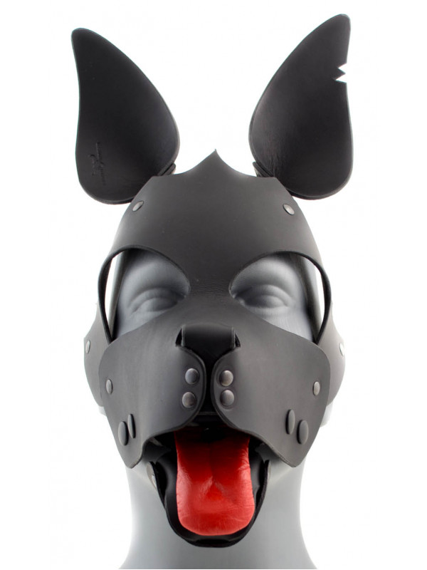 Mask DOG Croupon