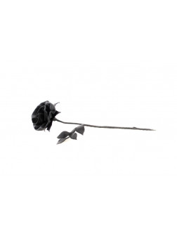 Leather Rose