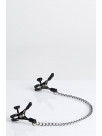 Alligator Clasp