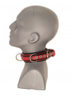 Padded Collar with twin piping