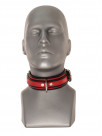 Padded Collar with twin piping
