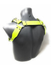 Harness Gilles NEON