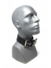 Halsband MASTER